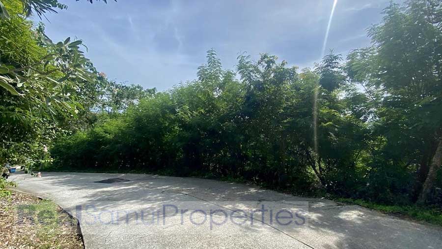 3,200 Sqm of Sea View Land, Nathon